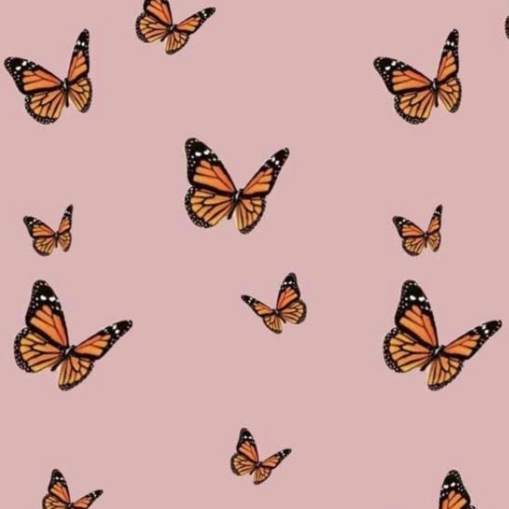 Meet your Posher, Giana